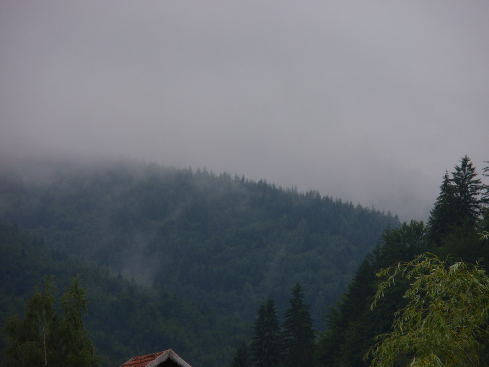 После дождя горы окутались туманом